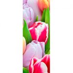 Langbahn Tulpen-Mix 60x180cm