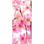 Langbahn Kirschblüte 42x119cm