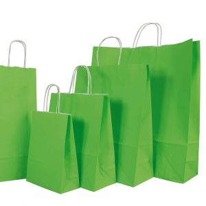 Papierflaschentasche Smartline limette, VE=25 Stk.