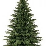 Weihnachtsbaum "Exclusive" H:400cm, grün