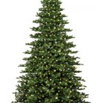 Weihnachtsbaum "Exclusive" H:150cm, m.Licht