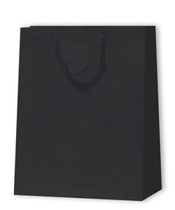 Papiertragetasche Standard, H:32,4x12,7x26cm, schwarz