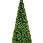 Riesentanne Standard H:370cm, grün