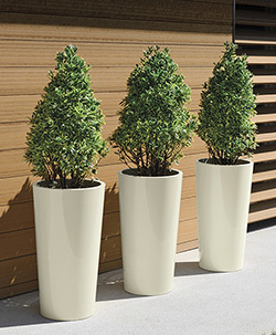 Pflanztöpfe TUIT Ø33xH:61cm, UNIFARBEN