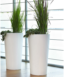 Pflanztopf Tuit Ø40xH:75cm, weiss