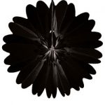 Papierfächer Ø75cm, schwarz