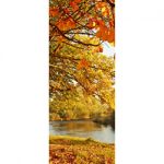 Langbahn Auwald 60x180cm