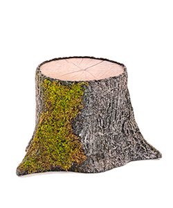 Baumstamm Ø50xH:135cm, bemoost