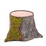 Baumstamm Ø33xH:80cm, bemoost
