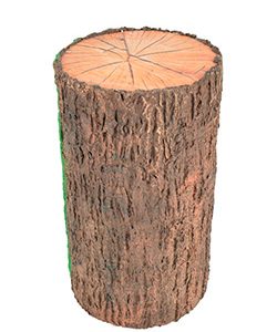 Baumstamm Ø33xH:80cm, naturbraun