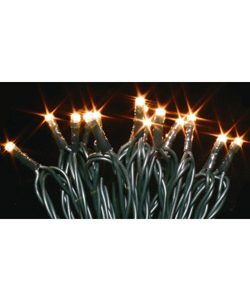 Aussen-Minilichterkette x 80 LEDs, dunkelgrün, 24V