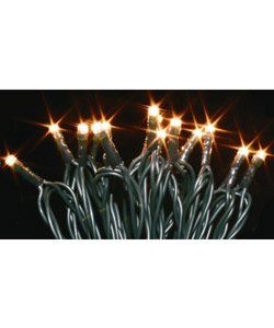 Aussen-Minilichterkette x 120 LEDs, dunkelgrün, 24V