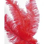 Straußenfeder 50-62cm, rot