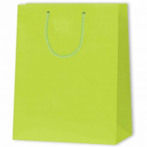 Papiertragetasche Standard, H:32,4x12,7x26cm, hellgrün
