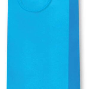 Flaschentasche Standard hellblau