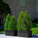 Pflanzkasten Siepi 80x39xH:35cm, schwarz