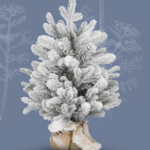 Schneetanne H:60cm, beflockt