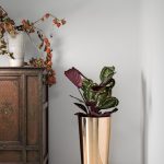 Pflanztöpfe TUIT Ø33xH:61cm, metallic glanz + matt