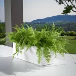 Pflanzkasten Kube mini 50x18xH:18cm, weiß