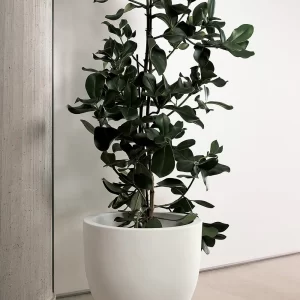 Pflanztopf Etria Ø34xH:28cm, weiß