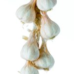 Knoblauch-Zopf 10-tlg. L:50xB:11cm, weiß