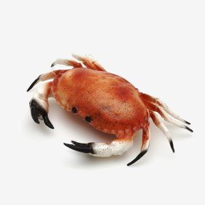 Krabbe 32 cm