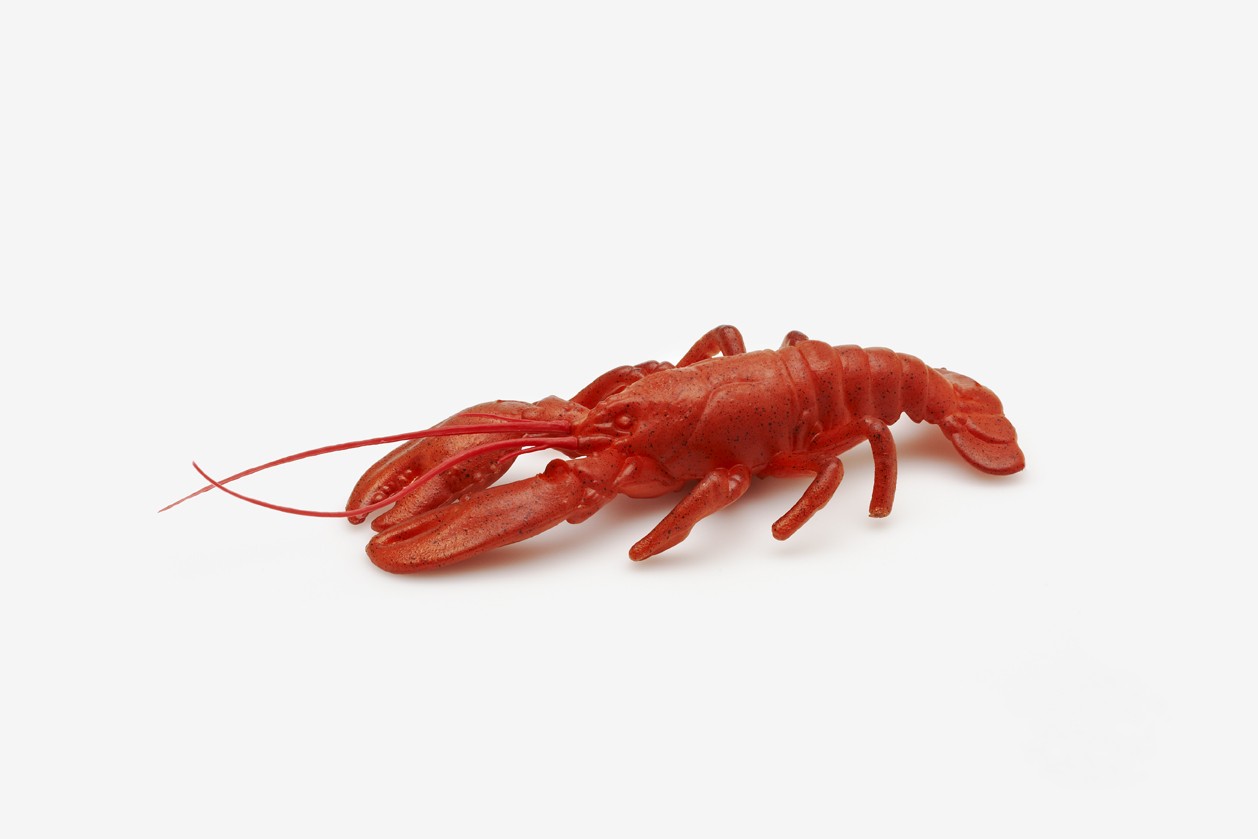 Hummer 30 cm