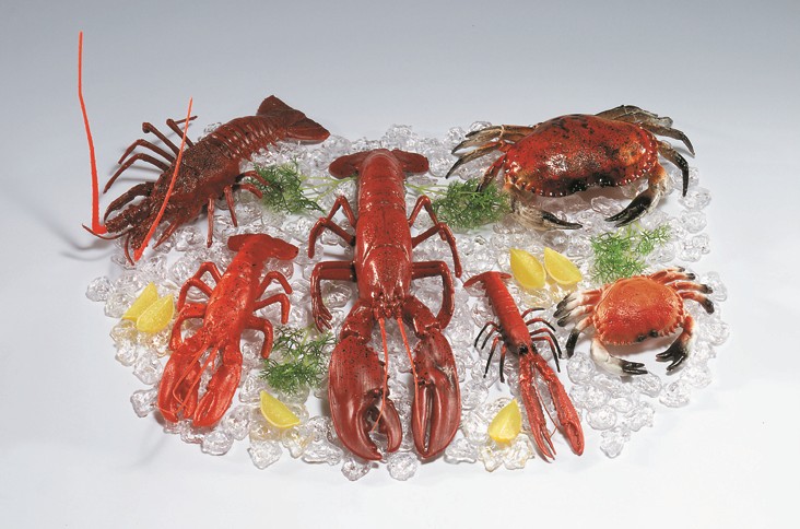 Hummer 50cm – Bild 2