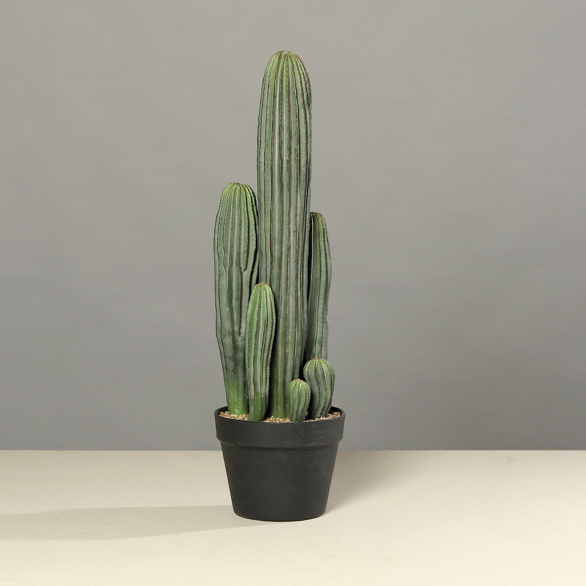 Kaktus im Topf, H:63cm