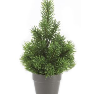 Alpin-Tannenbaum H:24cm