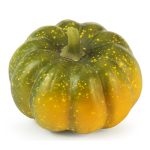 Kürbis Ø8 x H:6,5cm, grün-orange