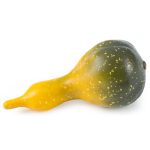 Kürbis Ø6 x H:12,5cm, gelb/grün
