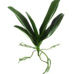 Orchideen-Blätter Busch x 5, H:30x23cm, grün