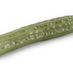 Gurke 40x5,5cm (LxØ)