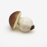 Steinpilz L:15xØ11cm, 2 Stück/Packung