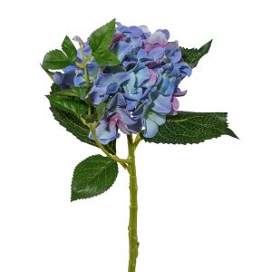 Hortensie L:46cm, blau