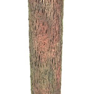 Baumstamm Ø22xH:100cm, naturbraun