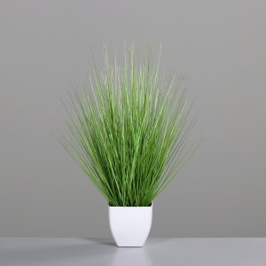 Gras im Topf H:55cm, grün