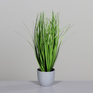 Schilfgras im grauen Kst-Topf, H:38cm, grün