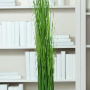 Stehgras H:90cm, schmal, grün