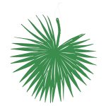 Papier-Deko "Palmblatt" Ø40cm, 2 Stk./VE, grasgrün