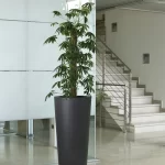 Pflanzkübel Ilie Ø 37/H: 75 cm, schwarz