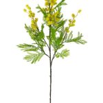 Mimosenzweig L:96cm