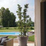 Pflanzkübel Mitu Pac Ø100xH:88cm, taupe