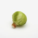 Weisskraut Deluxe Ø12cm, 2 Stk./Packung