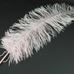 Straußenfeder 50-62cm, rosa