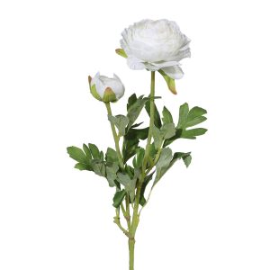 Ranunkel-Stamm x 2, L:40cm, weiß