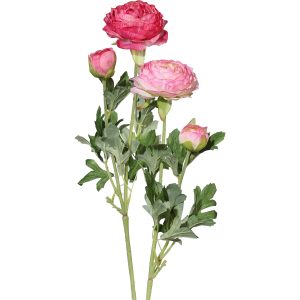 Ranunkel-Stamm x 2, L:40cm, hellrosa