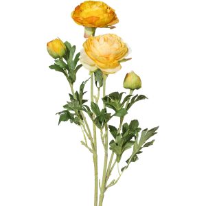 Ranunkel-Stamm x 2, L:40cm, gelb