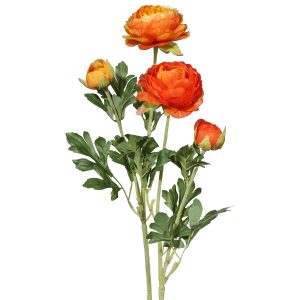 Ranunkel-Stamm x 2, L:40cm, orange